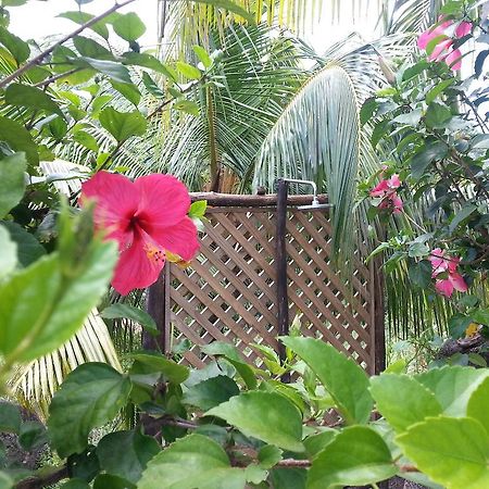 Zanboza Guesthouse ラ・ディーグ島 エクステリア 写真